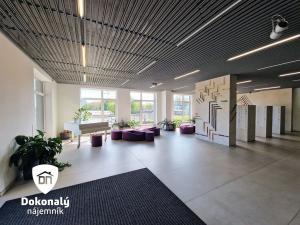 Pronájem bytu 2+kk, Praha - Vysočany, Freyova, 45 m2