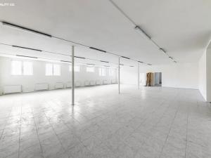 Pronájem výrobních prostor, Praha - Ruzyně, 1000 m2