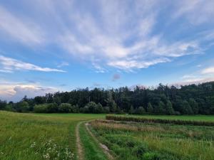 Prodej pozemku pro bydlení, Vyšehořovice, 825 m2