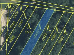 Prodej lesa, Mistřice, 223 m2