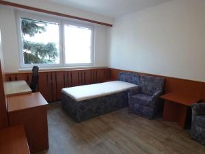 Pronájem bytu 1+kk, Brno, Heršpická, 23 m2