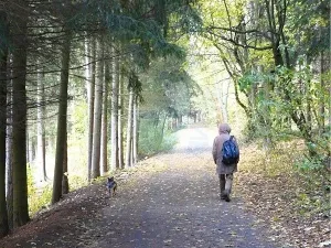 Prodej pozemku pro bydlení, Mariánské Lázně, Dobrovského, 1311 m2