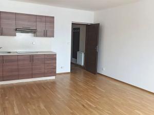 Pronájem bytu 1+kk, Litoměřice, Velká Dominikánská, 30 m2