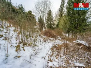 Prodej zahrady, Plasy, 2180 m2