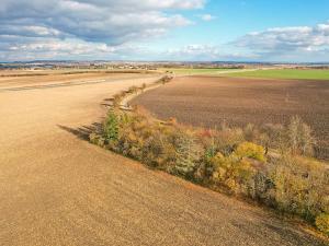 Prodej pozemku pro bydlení, Dašice, 1575 m2