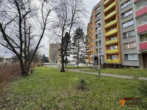 Prodej bytu 3+1, Karviná, Nedbalova, 79 m2