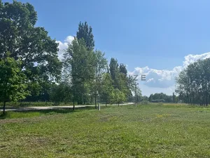 Prodej pozemku pro bydlení, Dívčice, 1254 m2