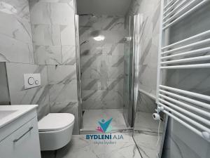 Prodej bytu 1+1, Bílina, Sídliště Za Chlumem, 36 m2