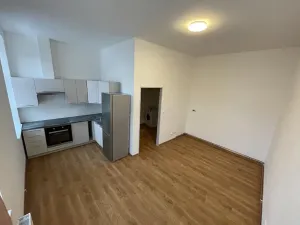 Pronájem bytu 1+kk, Skuteč, Vítězslava Nováka, 28 m2