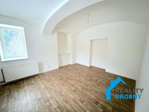 Pronájem bytu 1+1, Děčín, Družstevní, 42 m2