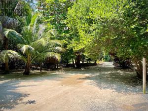 Prodej rodinného domu, Camp Bay, José Santos Guardiola, Honduras, 2006 m2