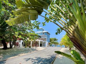 Prodej rodinného domu, Camp Bay, José Santos Guardiola, Honduras, 2006 m2