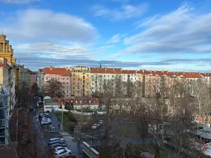 Pronájem bytu 2+1, Praha - Žižkov, Fibichova, 90 m2