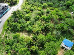 Prodej pozemku, Punta Gorda, José Santos Guardiola, Honduras, 716 m2