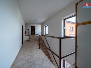 Pronájem obchodního prostoru, Újezd, 360 m2