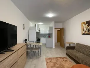 Prodej bytu 2+kk, Teplice, Albrechtova, 82 m2