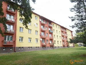 Pronájem bytu 3+1, Hodonín, Erbenova, 65 m2