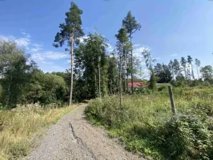 Dražba louky, Kočov, 6763 m2