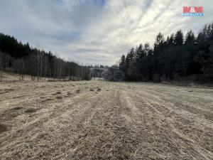 Prodej louky, Petrovice II - Losiny, 10890 m2