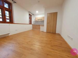 Pronájem bytu 1+kk, Olomouc, Uhelná, 30 m2