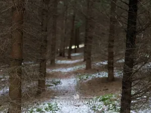 Prodej rodinného domu, Křečovice, 220 m2