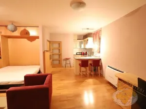 Pronájem bytu 1+kk, Praha - Košíře, Pod školou, 50 m2