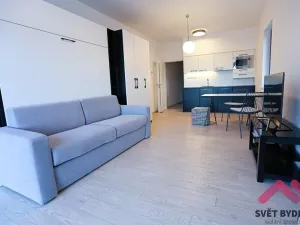 Pronájem bytu 1+kk, Praha - Karlín, U Mlýnského kanálu, 38 m2