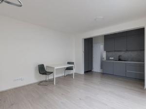 Pronájem bytu 1+kk, Praha - Žižkov, Hartigova, 37 m2