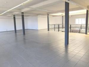 Pronájem obchodního prostoru, Cheb, Dyleňská, 826 m2