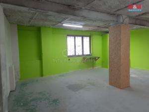 Pronájem skladu, Louny, Říční, 70 m2