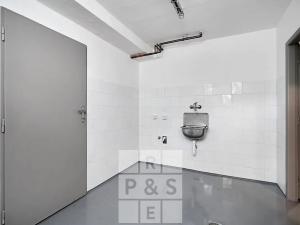 Pronájem rodinného domu, Praha - Braník, V malých domech I, 300 m2