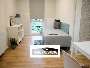 Pronájem bytu 1+kk, Kroměříž, Stoličkova, 28 m2