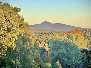 Prodej pozemku pro bydlení, Janovice v Podještědí, 2608 m2