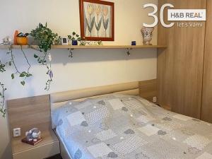 Prodej bytu 2+kk, Všemina, 41 m2