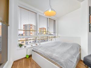 Pronájem bytu 2+kk, České Budějovice - České Budějovice 3, Staroměstská, 59 m2