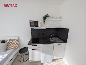 Pronájem bytu 1+kk, Brno, Ulrychova, 20 m2