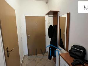 Pronájem bytu 1+kk, Olomouc, Wellnerova, 42 m2