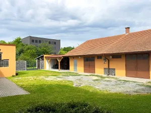 Prodej vícegeneračního domu, Brno, Franzova, 3164 m2