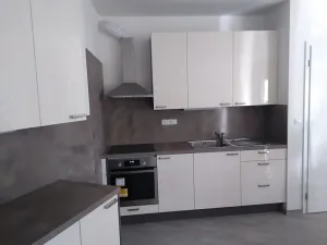 Prodej bytu 3+kk, Praha - Žižkov, Olgy Havlové, 93 m2