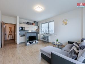 Prodej bytu 2+kk, Ostrov, Severní, 53 m2