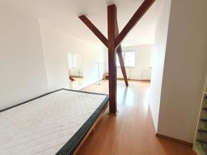 Pronájem bytu 4+kk, Praha - Vinohrady, Chodská, 130 m2