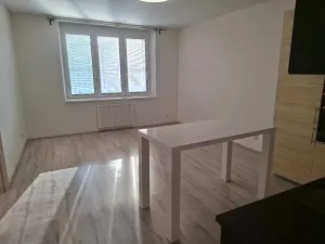 Pronájem bytu 3+kk, Praha - Žižkov, Basilejské náměstí, 93 m2