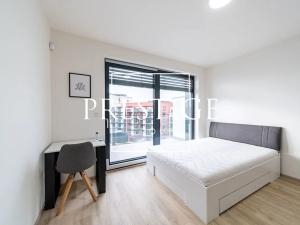 Pronájem bytu 1+kk, Praha - Žižkov, Šrámkové, 43 m2