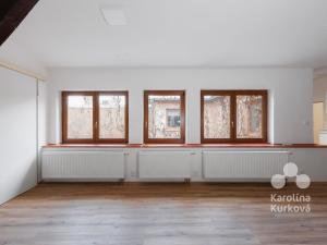 Pronájem bytu 3+kk, Praha - Smíchov, Radlická, 83 m2