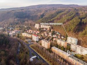 Prodej bytu 2+1, Děčín - Děčín IX-Bynov, Na Pěšině, 66 m2