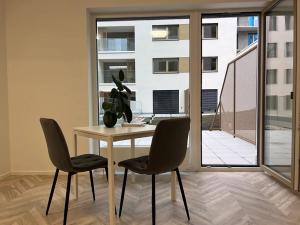 Pronájem bytu 1+kk, Brno, Cejl, 30 m2