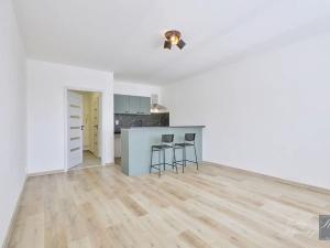 Prodej bytu 1+kk, Chlumec, Stradovská, 32 m2