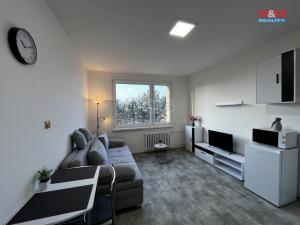 Pronájem bytu 1+kk, Litoměřice - Předměstí, Alšova, 21 m2