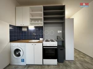 Pronájem bytu 1+kk, Litoměřice - Předměstí, Alšova, 21 m2