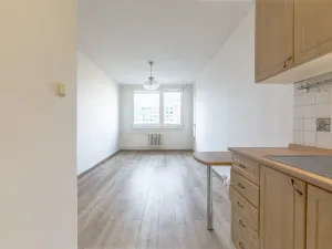 Prodej bytu 2+kk, Kladno, Holandská, 40 m2